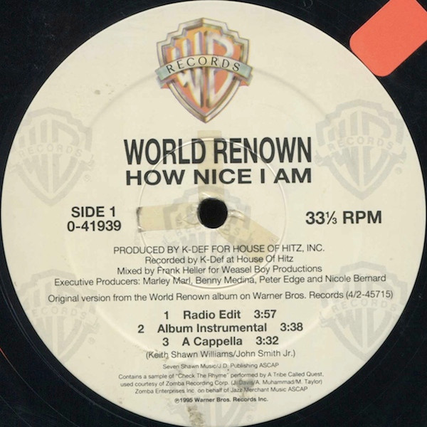 World Renown - How Nice I Am - Used Vinyl - High-Fidelity Vinyl