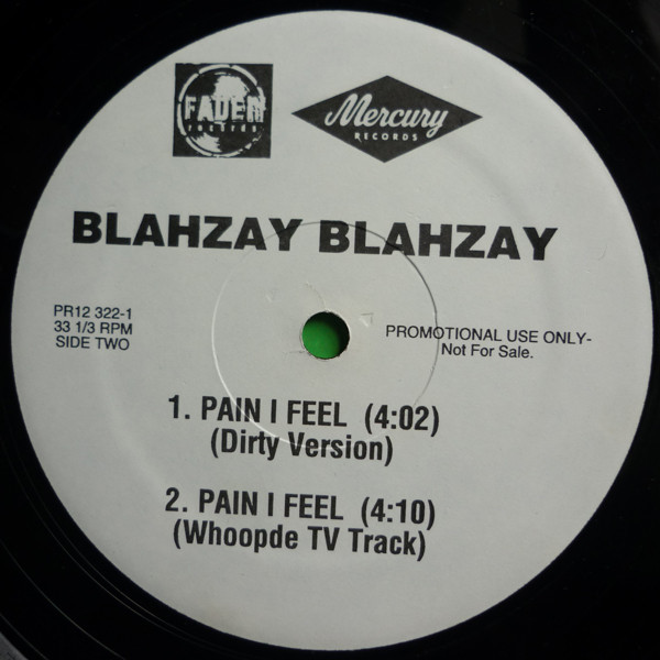 Blahzay Blahzay   Pain I Feel   Used Vinyl   High Fidelity Vinyl