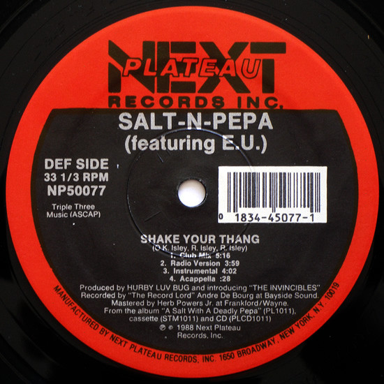 Salt-N-Pepa - Shake Your Thang 